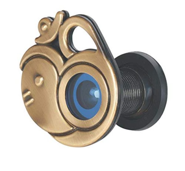 EYE BERRY GANESHA MODEL FOR SAFE AND SECURE HOME
